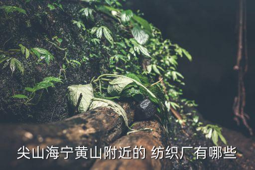 尖山海寧黃山附近的 紡織廠有哪些
