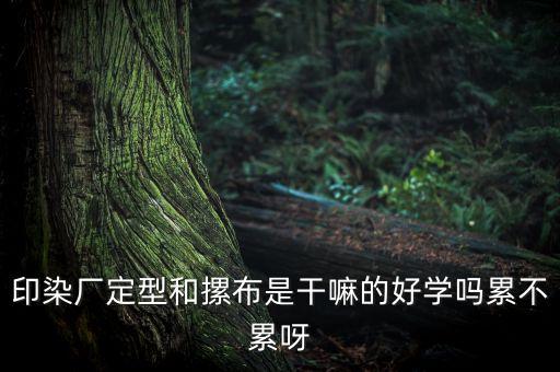 印染廠定型和摞布是干嘛的好學(xué)嗎累不累呀