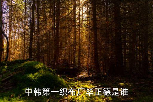 中韓第一織布廠畢正德是誰