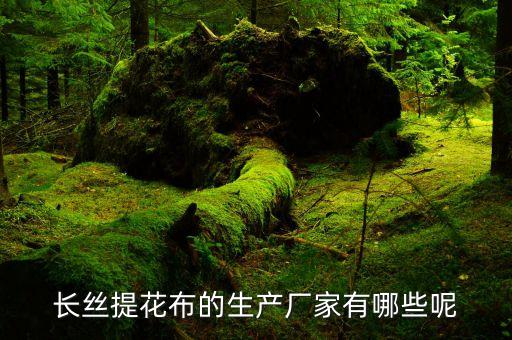 長絲提花布的生產(chǎn)廠家有哪些呢