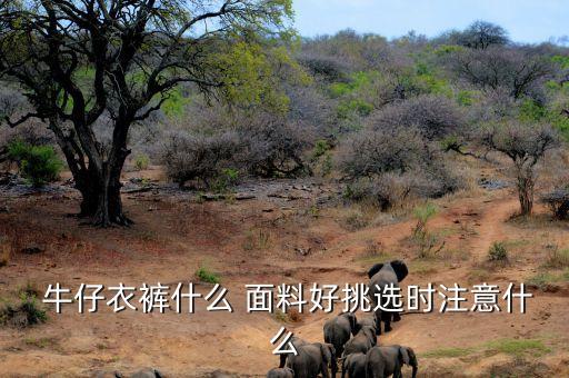  牛仔衣褲什么 面料好挑選時(shí)注意什么