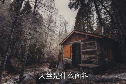  天絲是什么面料