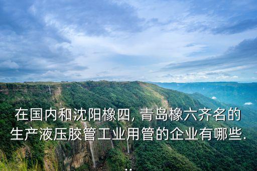 在國(guó)內(nèi)和沈陽(yáng)橡四, 青島橡六齊名的生產(chǎn)液壓膠管工業(yè)用管的企業(yè)有哪些...