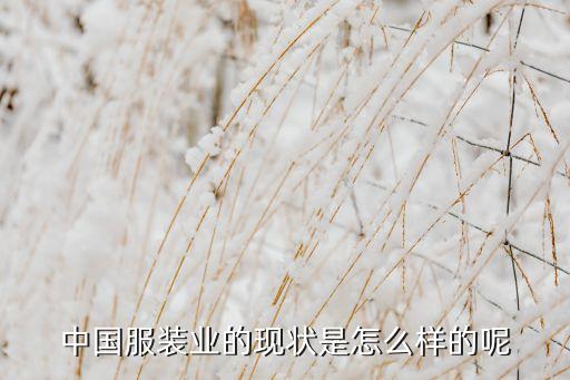 中國服裝業(yè)的現(xiàn)狀是怎么樣的呢