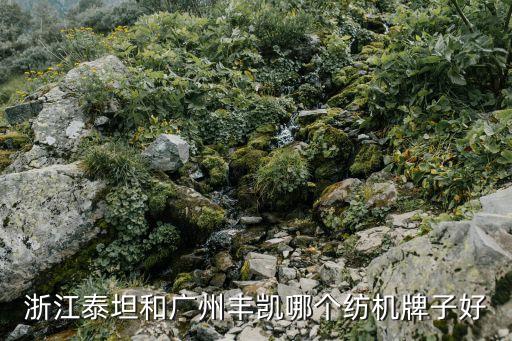 浙江泰坦和廣州豐凱哪個(gè)紡機(jī)牌子好