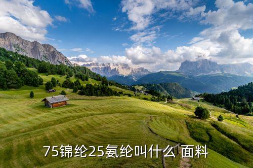 75錦綸25氨綸叫什么 面料