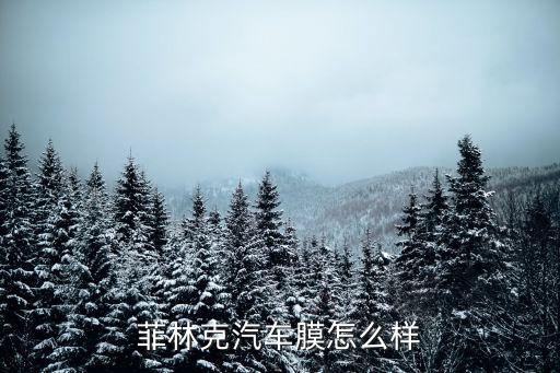 菲林克汽車膜怎么樣