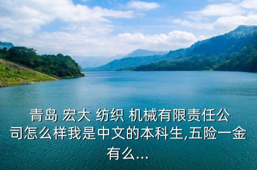  青島 宏大 紡織 機(jī)械有限責(zé)任公司怎么樣我是中文的本科生,五險(xiǎn)一金有么...