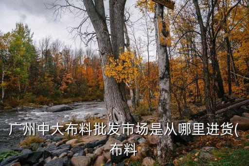 廣州中大布料批發(fā)市場是從哪里進貨(布料