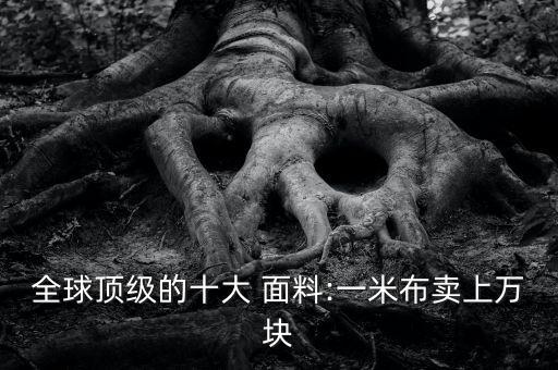 全球頂級(jí)的十大 面料:一米布賣上萬塊