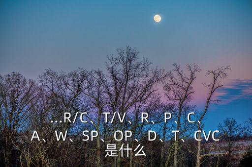面料成分sp是什么意思,rayon面料成分是什么意思