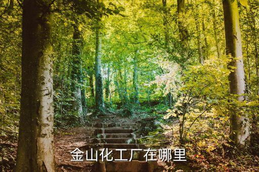 金山化工廠在哪里