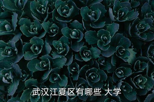 武漢江夏區(qū)有哪些 大學