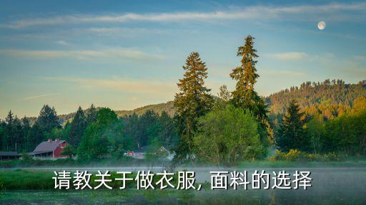 請教關(guān)于做衣服, 面料的選擇