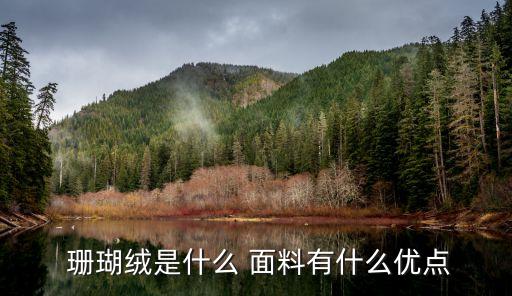 珊瑚絨是什么 面料有什么優(yōu)點
