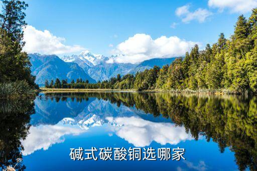 堿式碳酸銅選哪家