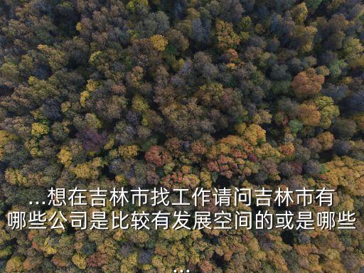 ...想在吉林市找工作請問吉林市有哪些公司是比較有發(fā)展空間的或是哪些...
