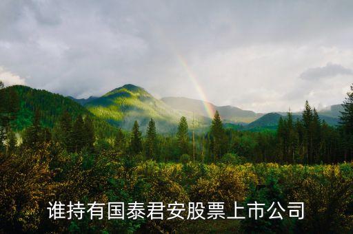 誰(shuí)持有國(guó)泰君安股票上市公司