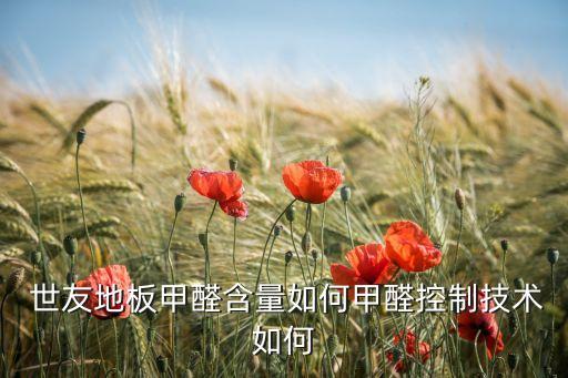  世友地板甲醛含量如何甲醛控制技術(shù)如何