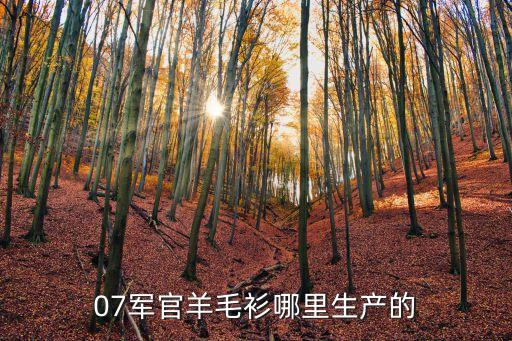 07軍官羊毛衫哪里生產(chǎn)的