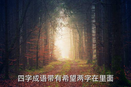 四字成語帶有希望兩字在里面
