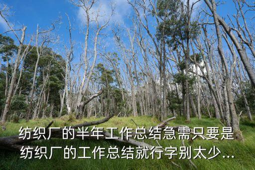  紡織廠的半年工作總結(jié)急需只要是 紡織廠的工作總結(jié)就行字別太少...