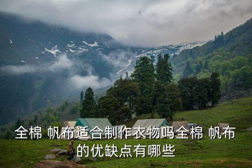 全棉 帆布適合制作衣物嗎全棉 帆布的優(yōu)缺點(diǎn)有哪些