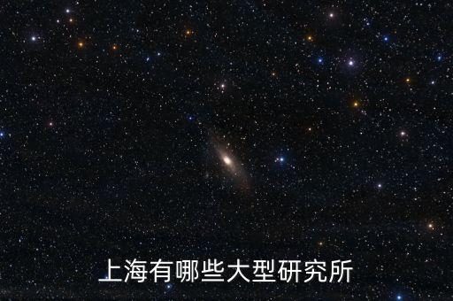 上海有哪些大型研究所