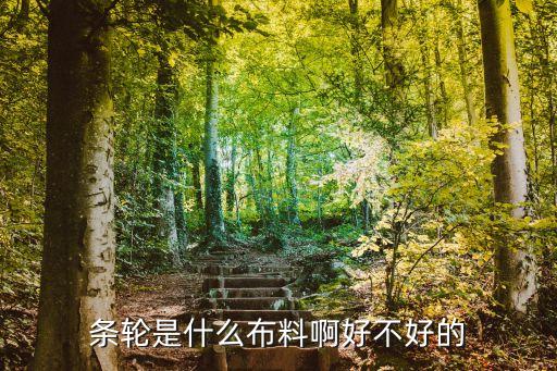 條輪是什么布料啊好不好的