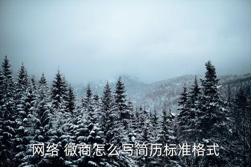 網(wǎng)絡(luò) 微商怎么寫簡歷標(biāo)準(zhǔn)格式