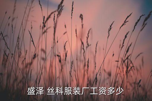 盛澤 絲科服裝廠工資多少