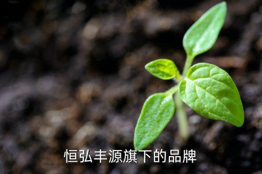 恒弘豐源旗下的品牌
