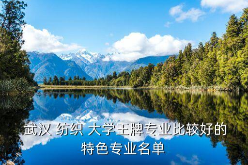  武漢 紡織 大學(xué)王牌專業(yè)比較好的特色專業(yè)名單