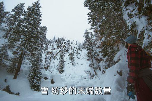 雪 紡紗的未端數(shù)量