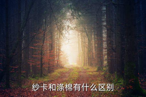 紗卡和滌棉有什么區(qū)別