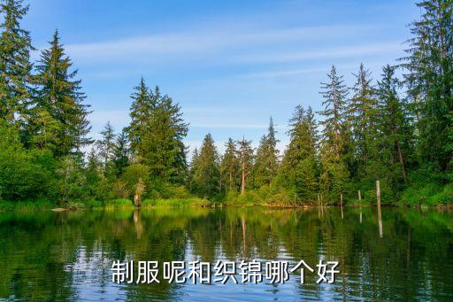 制服呢和織錦哪個好