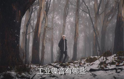 工業(yè)噪音有哪些