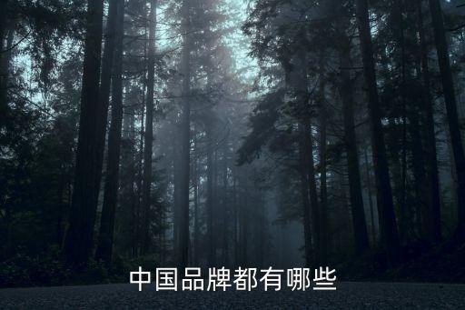 江蘇洲艷服飾有限公司,江蘇艷鹿服飾有限公司怎么樣