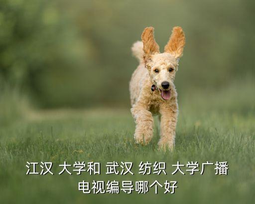 江漢 大學(xué)和 武漢 紡織 大學(xué)廣播電視編導(dǎo)哪個好
