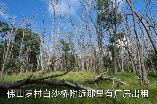 佛山羅村白沙橋附近那里有廠房出租