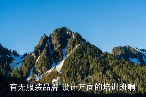 有無服裝品牌 設(shè)計(jì)方面的培訓(xùn)班啊
