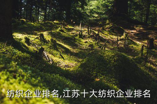 河南紡織企業(yè)排名,江蘇十大紡織企業(yè)排名