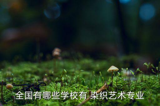 全國有哪些學校有 染織藝術(shù)專業(yè)