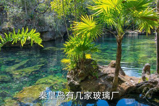 秦皇島有幾家玻璃廠