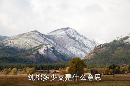 純棉多少支是什么意思