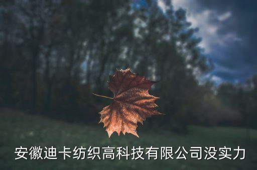 安徽紡織業(yè)重點企業(yè),紡織業(yè)的龍頭上市企業(yè)