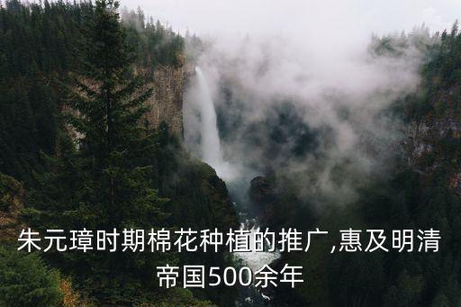 朱元璋時(shí)期棉花種植的推廣,惠及明清帝國(guó)500余年