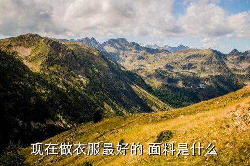 現(xiàn)在做衣服最好的 面料是什么