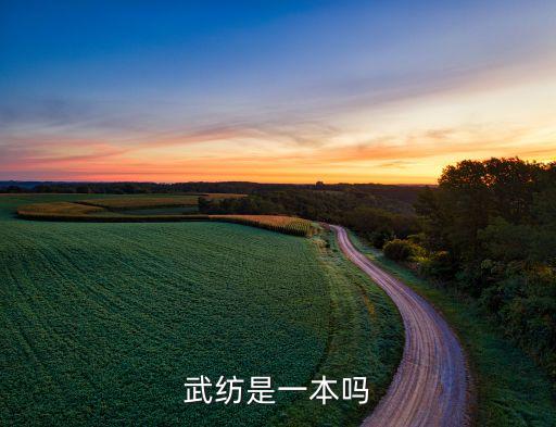 武紡是一本嗎
