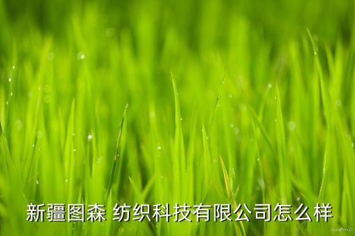 新疆圖森 紡織科技有限公司怎么樣